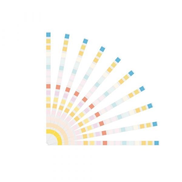 16 Parameters Drinking Water test Strips (100 strips)