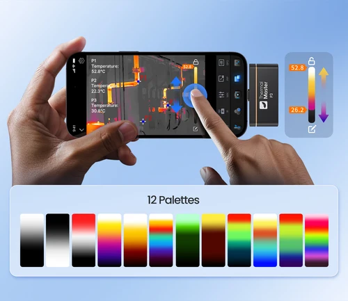 P3 | 12 Pro Palettes | Caresource